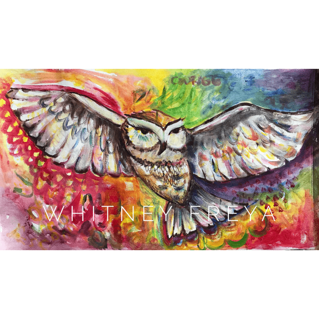 Rainbow Owl Painting